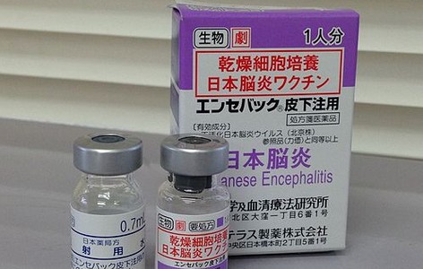 Japanese encephalitis vaccine