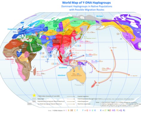 Haplogroup