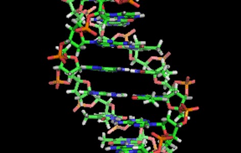 DNA computing