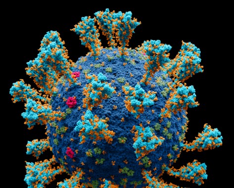 COVID-19 drug development