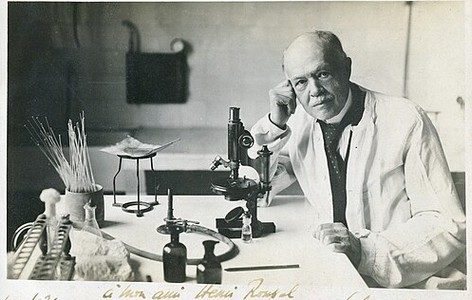 Charles Nicolle
