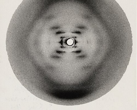 Photo 51