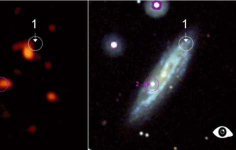 SN 2008D