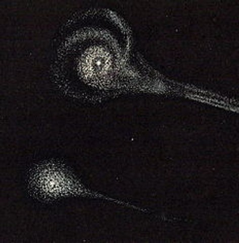 Lost comet