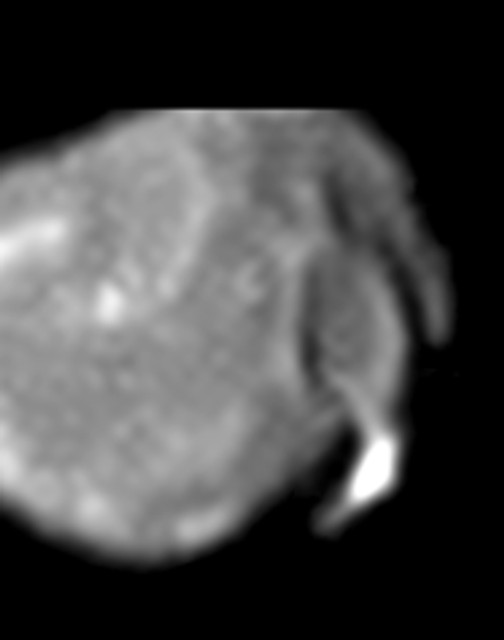 Amalthea (moon)