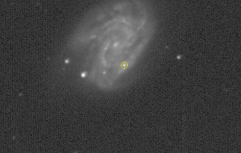 SN 2022jli