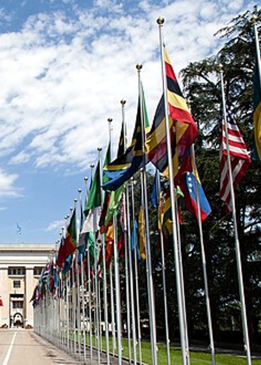 Flag
