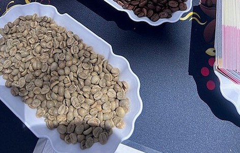 Yauco National Coffee Festival